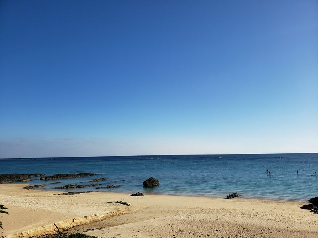 子連れで鹿児島&奄美大島旅行 3日目