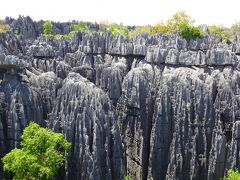 ◆マダガスカル旅◆④ベマラハ国立公園で大ツィンギートレッキング！