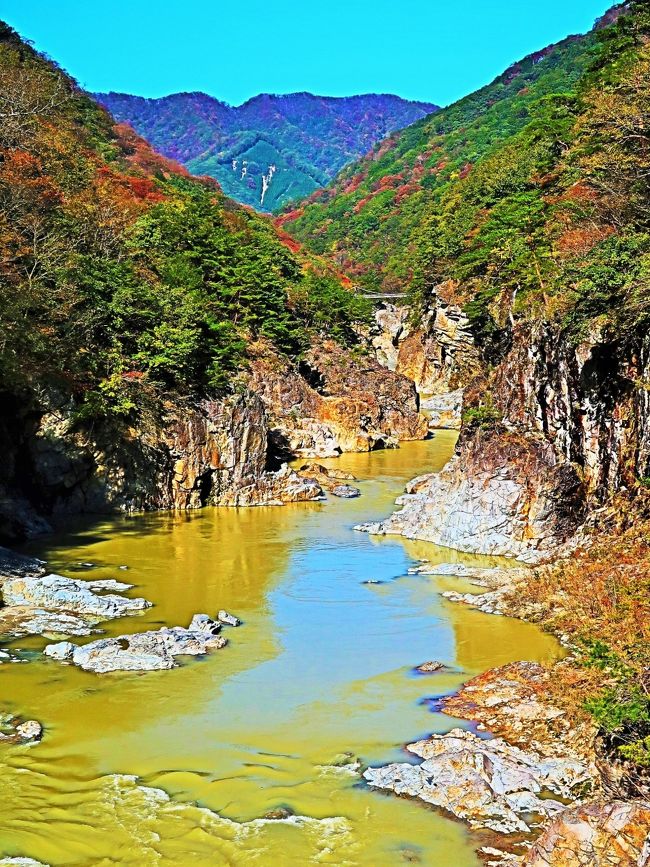 龍王峡（りゅうおうきょう）は栃木県北部、日光市の鬼怒川上流部に発達する峡谷。鬼怒川温泉と川治温泉の中間に位置し、日光国立公園に属する景勝地である。火山岩が約3kmに亘って浸食されてできた峡谷で、険しい岩盤が露出し、さながら竜が暴れ回ったような形跡を残すことから龍王峡と名付けられた。<br />至る所に奇岩や瀑布が連続する。岩の種類と色によって紫竜峡、青竜峡、白竜峡と呼び名が分かれているのが特徴。流紋岩が際だつ白竜峡は瀑布が多く、虹見の滝、竪琴の滝、白竜ヶ淵、岩ノ原、大観石、五光岩、兎跳などの名所がある。青竜峡は凝灰岩が中心で、材木状にとがった材木岩、獅子岩、白岩などが知られる。紫竜峡は安山岩が中心。 一帯は関東有数の温泉地であるため訪れる人は多い。特に紅葉のシーズンには人混みでごった返す。散策遊歩道が設けられており、中でもむささび橋から眺める風景が知られる。<br />（フリー百科事典『ウィキペディア（Wikipedia）』より引用）<br /><br />今から2,200万年もの昔、海底火山の活動によって噴出した火山岩が、<br /> 鬼怒川の流れによって侵食され、 現在のような景観になったといわれる「龍王峡」。<br />その名の通りまるで龍がのたうつ姿を思わせるような迫力のある大景観は、 山間のいで湯、川治温泉と鬼怒川温泉の間、約3キロに渡ります。　ことに「むささび橋」からの眺めは、この渓谷でのハイライト。 巨岩と清流とがおりなす自然の芸術品が眼前に広がります。<br />http://www.ryuokyo.org/index.html　より引用<br /><br />ハイキングマップ　については・・<br />http://www.ryuokyo.org/hiking.html<br />http://tabi.tobu.co.jp/playing/hiking/shizen/ryuokyo/<br />