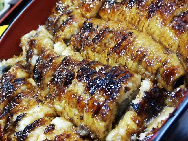 恒例の天草です。もう、しか行っていませんけども。<br /><br />これも恒例の熊本駅の現状です。からの、どんだけうなぎが好きやねん、てな感じで、プチ旅行の前にうなぎを食べに行きます。<br /><br /><br /><br />