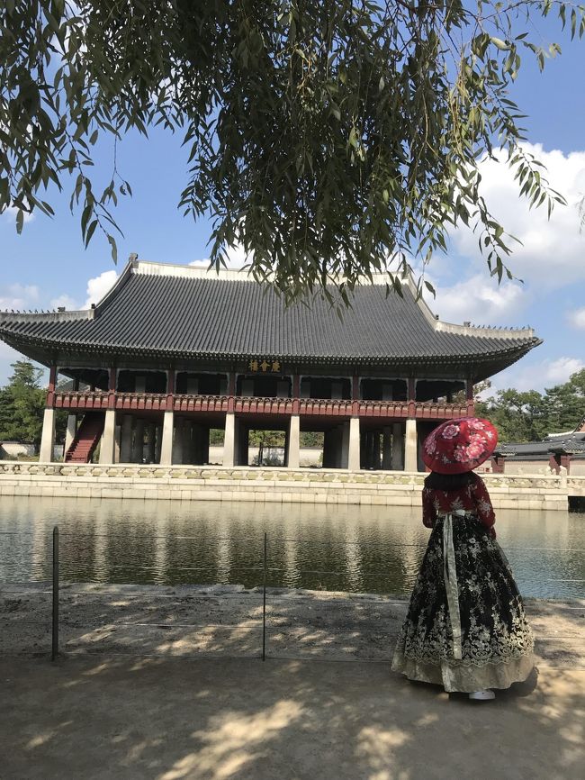 ソウル発券した旅券の最終区間の<羽田→ソウル><br />そろそろソウルに戻らないと。<br /><br />いつも通り1泊2日でソウルを考えてたけど、今までで一番悪い日韓関係。<br />それに加えて、ホテル代がお高い。<br />ほんじゃ、日帰りで行っちゃうか。<br />と久々で日帰りソウル決行。<br /><br />JALの朝一番の91便に乗って最終便のJAL94便で戻ってくるパターン。<br />途中6時間ほどは遊ぶ時間があるので、ついてからどこへ行くか考えればいいや。<br /><br />普段休日に近くのスーパーに出かける時に愛用のトレジョのエコバッグ中にさらにお土産を入れる用のエコバッグを入れて出発。<br />今回は久々の景福宮そしてタッカンマリで舌鼓、ロッテマートでお買い物で〆。とご定番のソウルを楽しんできました。<br />日帰りでも十分だけど、次回は1泊2日にして景福宮にチマチョゴリを着て遊びに行きたいな~。<br /><br />☆旅行形態:個人旅行<br />☆航空会社:往路:JALYクラス 復路:JAL Cクラス<br />☆お世話になったWeb<br />●JAL https://www.jal.co.jp<br /><br />