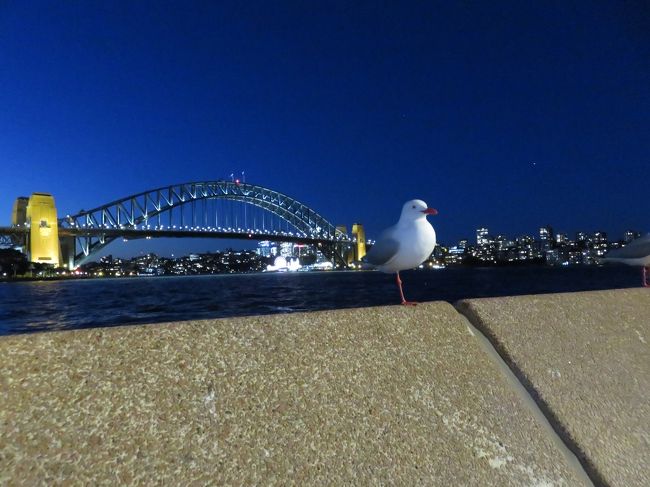 2019秋分「シドニーへ一人旅」（13_シドニー夜景）