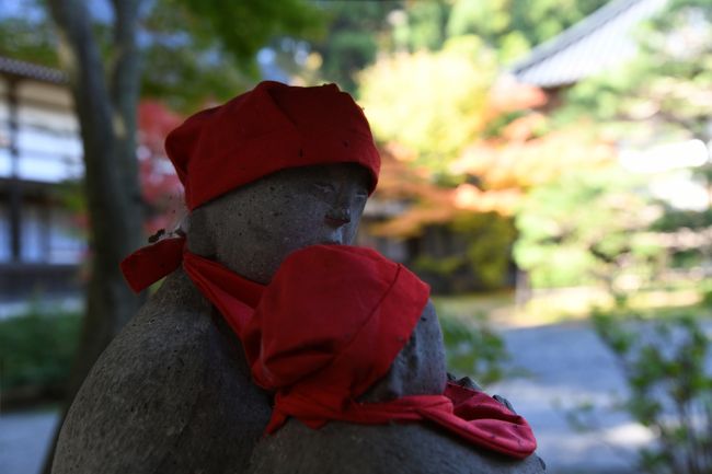 境内には多くのカエデが植えられており、燃えるような紅葉に彩られている。市内でも指折りの紅葉の場所。美しい広い庭がとても素晴らしい。<br />