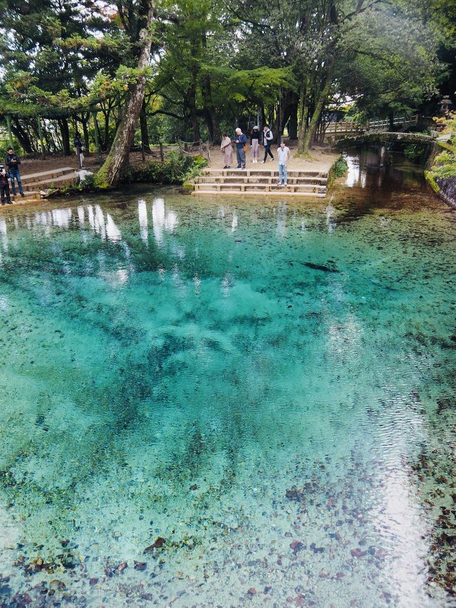 山口 おいでませ インスタ映えの國やまぐちへ ドーミーイン下関 萩本陣 19年11月 山口県の旅行記 ブログ By すずかさん フォートラベル