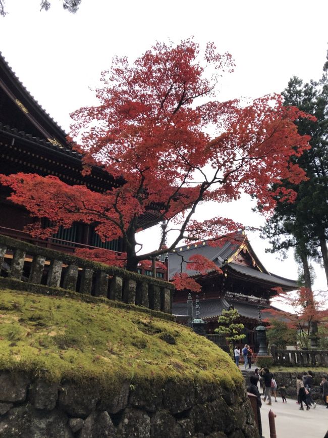 まだ紅葉の見頃とTVでやっていましたので、急遽行く事にしました!新宿こら東武日光直通の特急利用でした。
