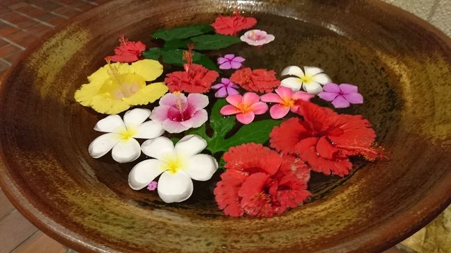 2泊3日の宮古島ツアー<br />