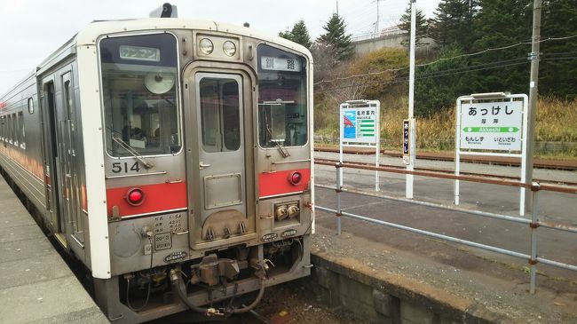 2019年10月に8泊9日をかけてJRの北海道フリーパスを使い、北海道一週をしてきた旅行記です。<br />今回の旅行の目的は大きく下の6つでした。<br /> ①クラウドファンディングで寄付した北斗星の客車を見てくる。【complete】<br /> ②未到達の襟裳岬に行く。【complete】<br /> ③厚岸で牡蠣を食べる。【complete】<br /> ④釧路湿原を見る。【complete】<br /> ⑤音威子府駅の「常盤軒」で蕎麦を食べる。<br /> ⑥引退した名馬アブクマポーロを訪ねる。<br />鉄分多めの記事になりますが、よろしくお願いいたします。<br /><br />大まかな行程は、<br />1日目 東京~木古内~茂辺地~函館~東室蘭~室蘭~東室蘭<br />2日目 東室蘭~苫小牧~鵡川~静内~浦河~様似~襟裳岬<br />3日目 襟裳岬~広尾~幸福~帯広<br />4日目 帯広~釧路~根室~納沙布岬~根室<br />5日目 根室~釧路~釧路湿原~網走←今ここ<br />6日目 網走~旭川~稚内<br />7日目 稚内~音威子府~浜頓別~宗谷岬~稚内~旭川<br />8日目 旭川~富良野~美瑛~深川~留萌~札幌~新夕張~千歳<br />9日目 千歳~東京