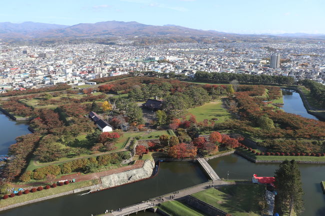 秋の函館の名所と紅葉を巡る旅の2日目と3日目です!<br /><br />2日目<br />函館駅前 → 五稜郭公園前 (路面電車)<br />五稜郭公園、箱館奉行所、五稜郭タワー<br />五稜郭公園前 → 青柳 (路面電車)<br />函館公園 紅葉<br />青柳 → 十字街 (路面電車)<br />金森赤レンガ倉庫<br />十字街 → 函館駅前 (路面電車)<br />函館駅前 → 香雪園 (バス)<br />香雪園 はこだてもみじフェスタ<br /><br />3日目<br />函館朝市<br />函館駅 → 札幌駅 (特急スーパー北斗)