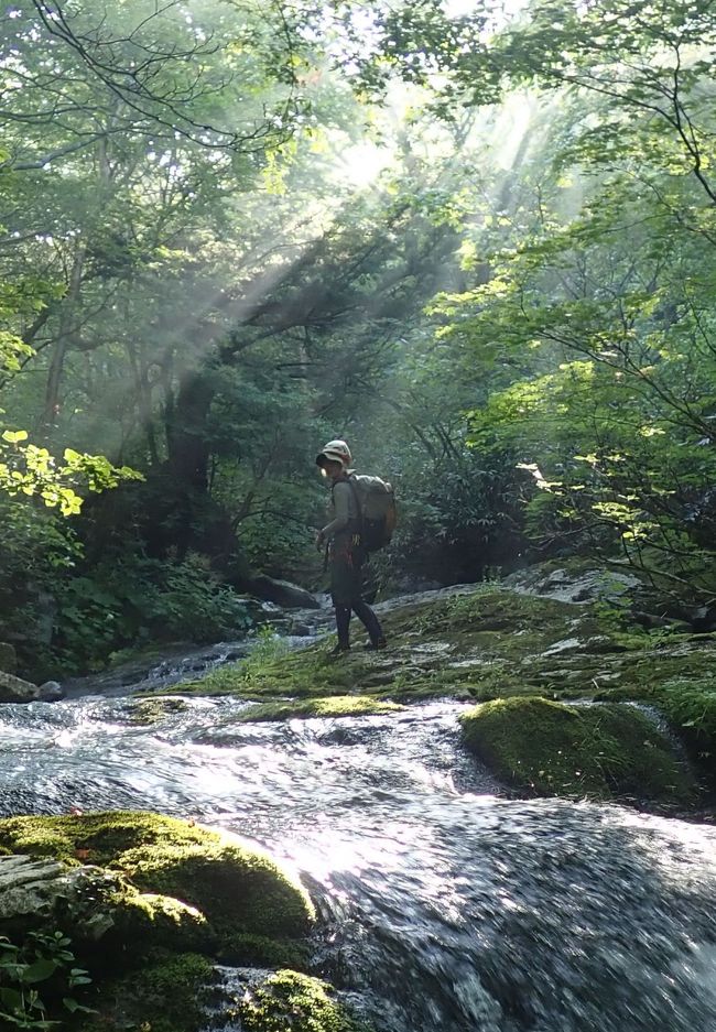 梅雨明け10日は安定しているといわれていたが、最近はそれも当てはまらないグズグズ天気が続く。そんな天気が不安定な週末。より安定した空予報である、南東北へと足を伸ばした。東北道から常磐道へと向かい磐梯熱海。そこから母成ライン、そして牧場へと。熊注意の張り紙が目立つ。静かな駐車場をあとに、遊歩道から沢へと降り立つ。鬱蒼とした森の中、透明度の高い清流に期待が高まる。だが、行けどもゴーロが続き、期待と違った渓様に、こんなはずではという思いが強くなる。ただ、おおっと期待の大滝が出てきてから、滝登りにテンションがあがり、そこからがトキメキの沢旅のはじまり。輝く沢床に緑がはえ、どこまでも美しい。川の名前の由来がこの沢の滑床からきているのだろうか、夢のような回廊が続く。そして、沢旅の醍醐味である焚き火。深い森の中、快適な幕場に、これ以上ない幸せを感じる。そして、朝がやってくる。朝の光は沢をいっそう輝かせる。そして、さいごの詰めまで、快適な沢旅はつづき登山道へと出る。下につかった登山道もお楽しみが盛りだくさん。瀟洒な森はもちろん、初夏のきのこたちが元気にフィナーレを飾ってくれる。夏の扉は開かれた。