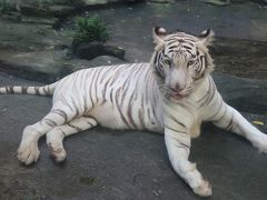 2019夏休みベトナム・カンボジア1