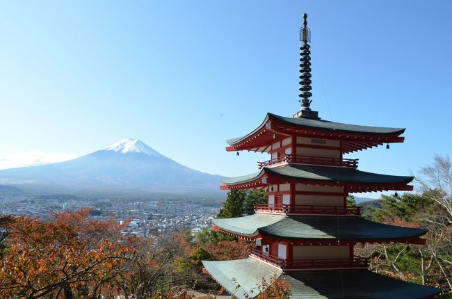 新倉山浅間公園に行った。紅葉は見頃前。