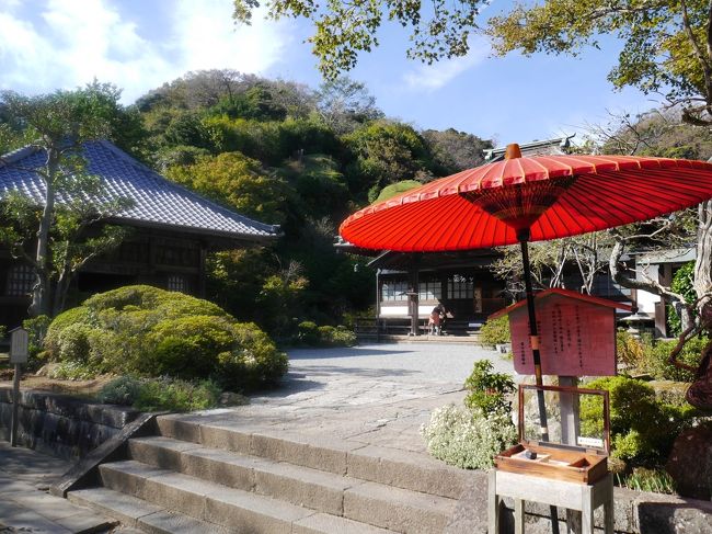 北鎌倉駅から葛原岡神社、源氏山公園、化粧坂切通しと歩き、海蔵寺に。<br />後半は海蔵寺から始まります。<br />海蔵寺、浄光明寺とも見どころの多いお寺でした。<br />遅いランチは、四川麻婆豆腐をいただきました。歩いて汗をかきましたが、麻婆豆腐でさらに汗が出ました。<br /><br />☆前半の旅行記はこちら<br />１１月初めの北鎌倉①☆葛原岡神社・化粧坂切通し☆光泉・松花堂☆2019/11/07<br />https://4travel.jp/travelogue/11564247<br /><br /><br /><br /><br />