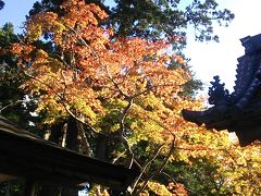 東京発日帰り？ワンデー岩手2019・11～平泉の紅葉を楽しむ日帰り？旅～（後編）