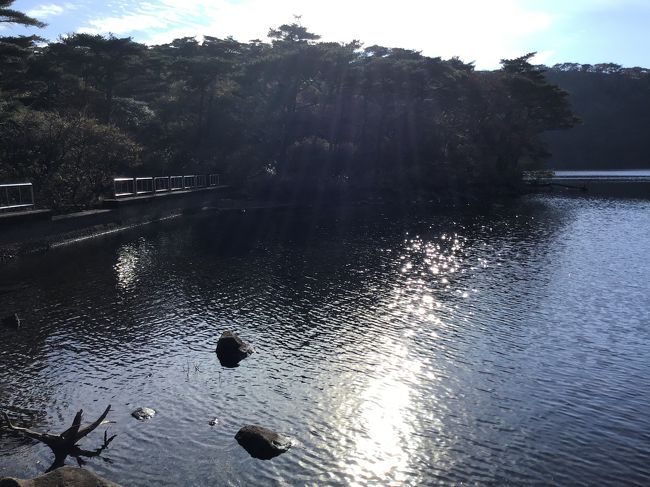 2時過ぎにえびの高原の駐車場に到着しました。ちょっと風が冷たいですね。<br />硫黄山が噴火しているので規制がかかっています。池巡りコース(白紫池、六観音御池、不動池)は不動池で折り返しになっています。久しぶりのえびの高原で30年くらい来ていないかと思います。白紫池は冬場になれば池が凍ってアイススケートが出来て大変賑わっていました。今はできなくなっていて駐車場近くに人工アイススケート場が出来ています。孫たちを連れての池巡りなので時間もかなりかかり不動池まで回ることはできませんでした。