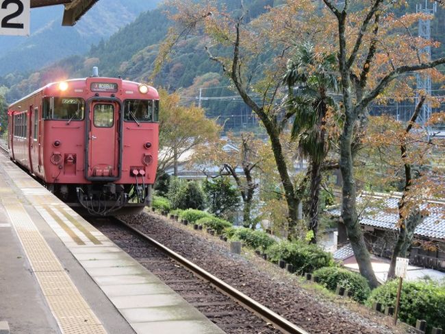 兵庫県の中心中播磨<br /><br />峰山高原に宿泊<br /><br />砥峰高原の黄金カラーのススキの原歩き、翌日日本のマチュピチュと呼ばれる竹田城跡へ<br /><br />雲海は見られませんでしたが、散策で感じる日本の美、季節の風とともに楽しむ家族旅行になりました