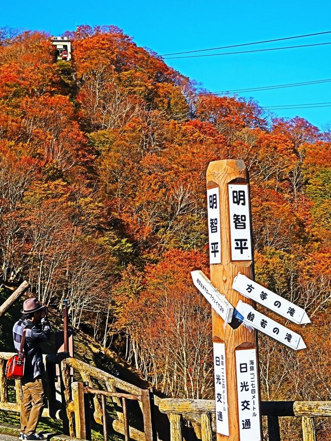 明智平ロープウェイは、栃木県日光市にあるロープウェイ（索道）である。 <br />明智平駅と展望台駅を結ぶ路線で、東武グループの日光交通が運行している。展望台駅からは華厳滝や中禅寺湖、男体山などを望むことができる。 <br />2019年現在は、駅舎内で小規模な売店機能があるほか、軽食販売店とトイレを併設した小規模な新棟が設置されている。また、駅舎と新棟の間は、更地のままになっており、日光市街やケーブルカーの線路跡を眺められる展望スペースとなっている。<br />（フリー百科事典『ウィキペディア（Wikipedia）』より引用）<br /><br />明智平ロープウェイ・明智平展望台<br />明智平からロープウェイで約3分。<br /> 日光で一番といわれる展望地点、明智平展望台。 中禅寺湖・華厳の滝・男体山など雄大なスケールで見渡せます。<br />また東側には、切り立った断崖の連なる屏風岩や、はるかに続く山並みがご覧になれます。<br />https://www.nikko-kotsu.co.jp/ropeway/　より引用