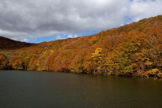 東北紅葉の旅 蔦沼 ー 奥入瀬渓流 ー 十和田湖