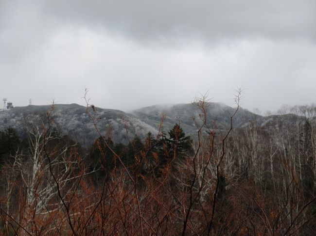 毎年恒例の秋のひとり旅。今年は北海道を選びました。<br />実は色々なことがあり、直前までキャンセルしようか迷っていた旅行。なので、下調べはほとんどできないまま、旅行当日を迎えました。<br />レンタカーも使わず、広い大地を移動しているので、参考にはならないと思いますが、よければご覧ください！