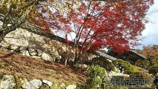 紅葉を求めて。釜山・慶州  初めてのひとり旅(ちょっとドキドキ)①