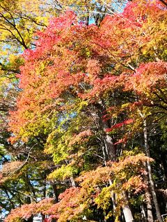 ☆2019年11月　紅葉の四万温泉☆　伊東園四万温泉　初めての観光　積善館　温泉街　N0２