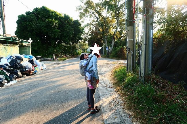 午前は荃灣から青衣まで歩きましたが<br />午後はハイキングに行ってみようと天水圍へ。<br /><br />本当は天水圍で軽い登山をする予定でしたが<br />登山口が閉まっていて登ることができずに<br />山の周りをぐるっと回る羽目に。<br />