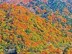 奥日光-7　八丁出島付近 中禅寺湖遊覧船-航行中　☆紅葉の最盛期に～展望デッキ～