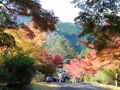 紅葉を楽しみに兵庫県の高源寺と天滝に出かけてきました