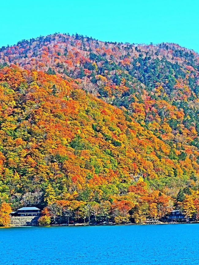 中禅寺湖（ちゅうぜんじこ）は栃木県日光市の日光国立公園内にある湖。日本の湖沼では25番目の面積規模を有する。 <br />中禅寺湖は、2万年前に男体山の噴火でできた堰止湖である。人造湖を除く広さ4km2以上の湖としては、日本一標高の高い場所にある湖である。また、栃木県最大の湖である。1周は約25kmであり、歩くと9時間ほどかかる距離である。湖のすぐ北には男体山がそびえ、北西には戦場ヶ原が広がる。 <br /><br />中禅寺湖は、現在は観光地として知られるが、日光山を開いたとされる勝道上人が発見したとされる湖であり、かつては神仏への信仰に基づく修行の場として知られていた。湖岸から約100m離れた場所にある上野島には、勝道上人の遺骨の一部が納められている。 湖の南側には八丁出島と呼ばれる細長く突き出した半島があり、紅葉の名所として知られるほか、薬師如来を祀っていたとされる薬師堂跡がある。 <br />明治中期以後、観光地として知られるようになり、湖畔には現在もフランスやベルギーなどの大使館別荘がある。 <br />（フリー百科事典『ウィキペディア（Wikipedia）』より引用）<br /><br />中禅寺湖遊覧船クルージング　については・・<br />http://www.chuzenjiko-cruise.com/timetable.html