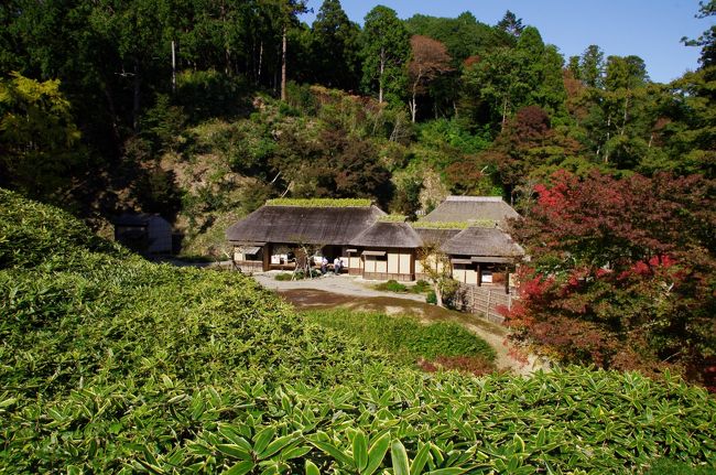 11月９日(土)は、水戸黄門を訪ねる旅その２ということで常陸太田へ行きました。台風の被害を受けたＪＲ水郡線は常陸太田までは走っていました。とても良い天気。<br />常陸太田は中世の佐竹氏の拠点でした。鯨ヶ丘という台地が細長く半島のように位置しており、その上にレトロな建物の街並みが並んでいます。街並みの写真をいっぱい撮りました。<br />復興へ心を一つにと、「常陸秋そばフェスティバル里山フェア2019」を山吹運動場で開催しており、賑わっていました。<br />久昌寺、西山荘を巡った後です。辺りの丘は道が複雑に交錯しており、分かりづらく、同じ所を繰り返し歩くということを繰り返してしまいました。地元の人に有り難く教えてもらい、ようやく、旧久昌寺跡へ行けました。谷津の奥であり、良い景色の所でした。佐竹寺、馬坂城跡も巡りました。<br />もう遅い時刻でしたが、久慈川も見たくて、遠い道のりを歩きました。久慈川沿いに釣りの名所となっている栗原の三日月湖が有ります。どっぷり暗くなった頃、そこに着きました。暗闇に釣り人が２人居ました。<br />グーグルの地図を見て、久慈川を渡る橋へ行くと、なんと、橋が落橋していました。<br />月夜の下、延々と南酒出駅まで歩きました。