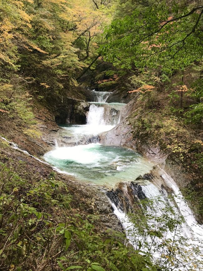 バスツアーで西沢渓谷へ。<br />屋久島へ行ってから近場でトレッキングに行きたいな、と思って狙っていた場所です(^-^)<br /><br />今年は紅葉の色付きが遅かったので、紅葉には少し早かったですが、さすが渓谷、滝と森林浴に癒されました!<br /><br />約10キロのトレッキングの後は、ほったらかし温泉でゆっくり。<br />筋肉疲労回復してから帰宅だなんて素敵な日程です♪<br /><br />実は西沢渓谷のバスツアー、同じ日程ではとバス、VIPツアーと2度降られました(T ^ T)<br />最小遂行人数に達せず、中止になったのです。<br />三度目の正直、トラベックスのツアーは遂行決定を確認して申し込みを。<br />ほったらかし温泉に寄るツアーはトラベックスだけだったので、一度来てみたかったので結果オーライでした(^-^)