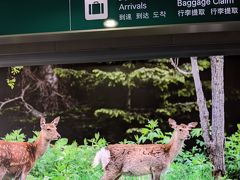 2019.10月末 鹿におびえ続けた道東ドライブ旅行①（美幌峠、川湯温泉、根室）