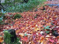 九州一早い紅葉と温泉を求めて久住へ ｰ 牧ノ戸峠 ｰ