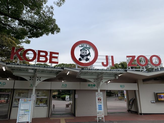 日本で唯一パンダもコアラも飼育されている王子動物園。動物の種類が多く、展示も見やすくて満足度は高かったです。