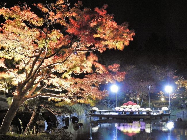 神戸市北区のしあわせの村日本庭園では１１月１日から１１月１７日の１７時から１９時まで紅葉のライトアップが行われている。<br />１１日と１２日の両日、昼間に見る紅葉と夜ライトアップされた一味違う神秘的な紅葉の両方を楽しんできました。