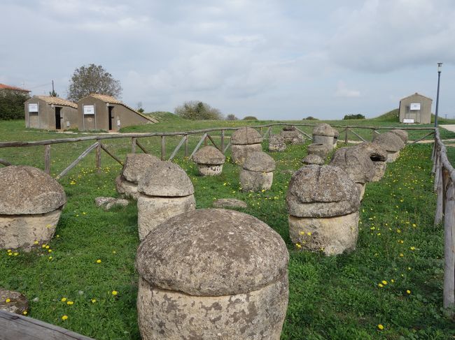 Tarquinia のエトルリア文明の遺跡を見る。紀元前の墓地です。