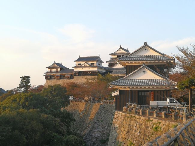 11月上旬に2泊3日で松山に行って来ました。<br />松山に到着後ホテルまで移動して便利だと思ったのは空港から市内中心地までが近いことです。空港リムジンバスでホテルのある松山の繁華街・大街道に約40分弱ほどで到着しました。そして市内の移動は伊予電の路面電車があり観光にはとても便利でした。また繁華街もほどよくコンパクトにまとまっており伊予鉄の松山市駅から宿泊したクラウンプラザホテルのある大街道まではアーケード商店街を通って約20~30分ほどで通り抜けできました。デパートも高島屋と三越があり便利そうでした。<br />宿泊は大街道のANAクラウンプラザホテル松山と道後温泉の大和屋本店に宿泊しました。<br /><br />11/9(土)12:05羽田→13:40松山 JAL435便 B737-800<br />ホテル:ANAクラウンプラザホテル松山<br />11/10(日)ホテル移動<br />ホテル:道後温泉 大和屋本店<br />11/11(月)17:15松山→18:40羽田 ANA596便 B787-8<br />