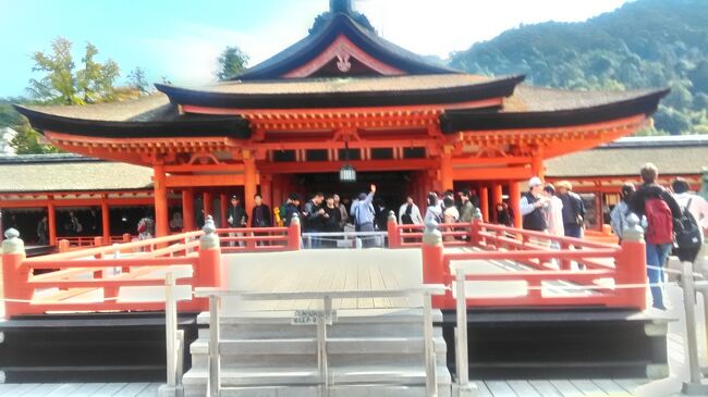 宮島の紅葉がよい頃では、ということで、妹の運転で、母と妹と私の女子3人が厳島神社にお参りしてきました。大鳥居は修復中で、いつもの雄姿を見ることができませんでした。紅葉ももう少しというところでしたね。しかし、とても良いお天気の中、久しぶりに宮島をぐるりと歩いて、美味しいランチもいただくことができました。