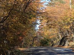 紅葉のトンネル(日光市）・・・