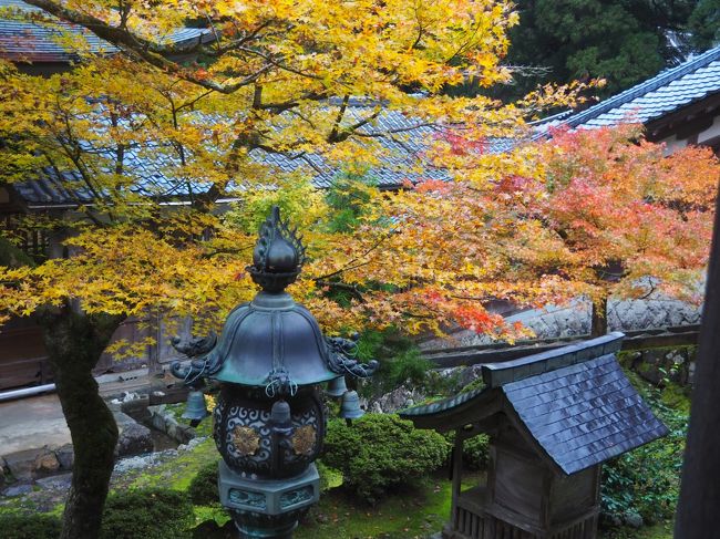 目的は、４トラ日本地図の塗りつぶしです（笑）。<br />個人的には今年４月の沖縄旅行で４７都道府県コンプリートしていますが、４トラ上では悲しいことに西日本の１０県がまだ白いまま。若い頃は西日本がフランチャイズだったのに、旅行記もクチコミも書けないのは、「写真がない」の一言に尽きます。逆に言えばそれだけ日常的な地域。<br /><br />この状況を打破すべく、使い残したANA株主優待券と夏の青春１８きっぷを使って残り１０県の弾丸旅行を計画していました。ところが、体調不良であえなく断念、航空券は払い戻すことに‥（１８きっぷは未手配）。<br /><br />９月中旬、体調が戻ったので再挑戦することにしましたが、日照時間の短い冬の１８きっぷで１０県を回るのは難しいと判断し、これを２つに分け、私鉄王国で１８きっぷ向きではない福井と近畿３県を先に回ります。幸い株主優待券は１１月末まで有効です。<br /><br />行程は以下の通り。今回は福井・滋賀・奈良・和歌山の４県が攻略対象。写真を持って帰るのが目的なので、訪問地にこだわりはありません。なので、ベタな観光地ですが、これまで行ったことのない永平寺、延暦寺、高野山という日本仏教の３大聖地になったのはご愛嬌です。<br /><br />《経路》<br />１１月１１日　横浜ー羽田空港ー小松空港ー福井ー東尋坊ー永平寺ー福井（泊）<br />１１月１２日　福井ー比叡山ー京都ー奈良ー大阪（泊）<br />１１月１３日　大阪ー高野山ー関西空港ー羽田空港ー横浜<br /><br />１１月１１日（月）曇り時々晴れ、ところによりにわか雨<br />自宅を出る時は激しく降っていた雨も羽田に着く頃には上がり、その後も降ったり止んだりですが、傘を差すことは一度もなく「究極の晴れ男」の面目躍如です。<br />今回の旅は、全て公共交通機関を利用しました。