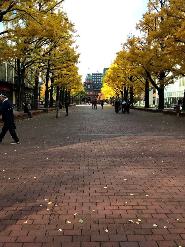 札幌市街地散策&#12316;新千歳空港ラウンジ