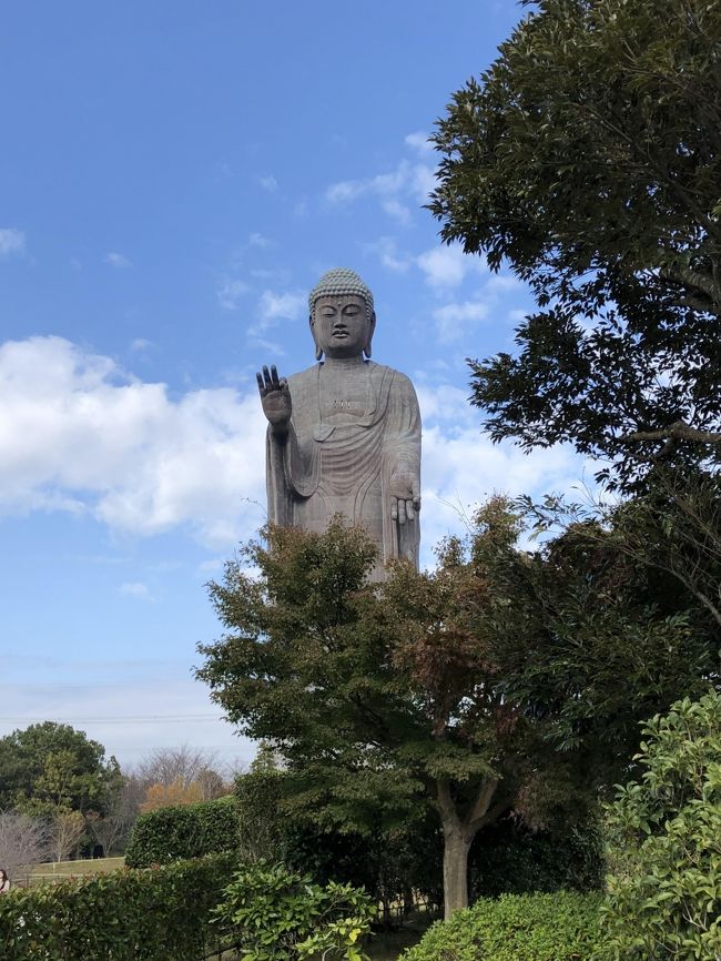 横須賀線と常磐線が、品川駅で結ばれるようになったので、牛久まで足を延ばして、大仏様を見学。話には聞いていたが、立派な大仏で、晴れていたら景色が素晴らしいものがあったと思われる。筑波山と富士山の両方を見ることができるそうである。大仏は、120mの高さがあり、まさにそびえたっている。姿がとても美しい。中は、5階85mまでエレベータで登れ、胎内を楽しむことができた。牛久駅から、大仏までのバスの便が、現在1時間に1本なので、時間を工夫する必要がある。