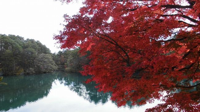 再び仕事で訪れた会津で、ついでに五色沼などをめぐりました。<br />