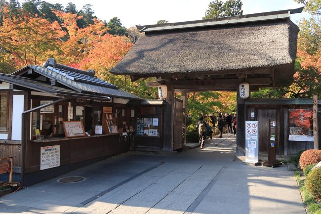 道路わきに紅葉がすごいような看板が見えたんで行ってみました。<br />門前に来るとそんなに紅葉してるようには見えなく、お金を出してまで<br />見る価値はないように思い見学しませんでした。<br />この状態で見学料を取るのは、こすい感じがしました。<br />