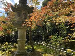 いい天気、奥嵯峨野へ