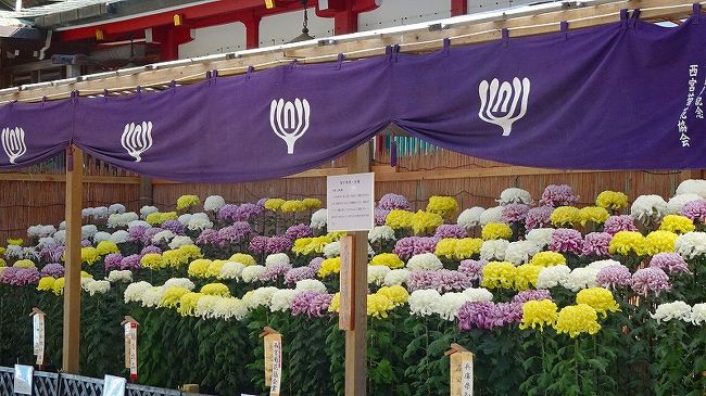 上巻からの続きです。<br /><br />写真は、菊花展覧会の風景。