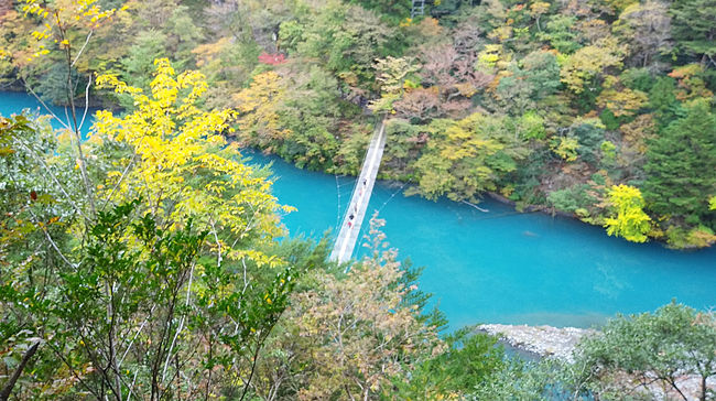 初めて寸又峡へ行ってきました。今まで北海道の青い池や秋田県の十二湖の青池は見に行ったことがありますが、ここのブルーは全然異なる色でした。石灰岩の白が溶け込んだような明るいブルーでした。今年は台風の影響で、本来の色とは少し異なるかもしれませんが。<br /><br />寸又峡は、四万十帯という中生代白亜紀から新生代第３紀にかけての堆積岩でできています。乱泥堆積物（タービダイト）の砂岩泥岩互層からなっているそうです。単層10m前後が作る軸面が北西に急傾斜し、ほぼ水平な褶曲軸（しゅうきょくじく）があります。