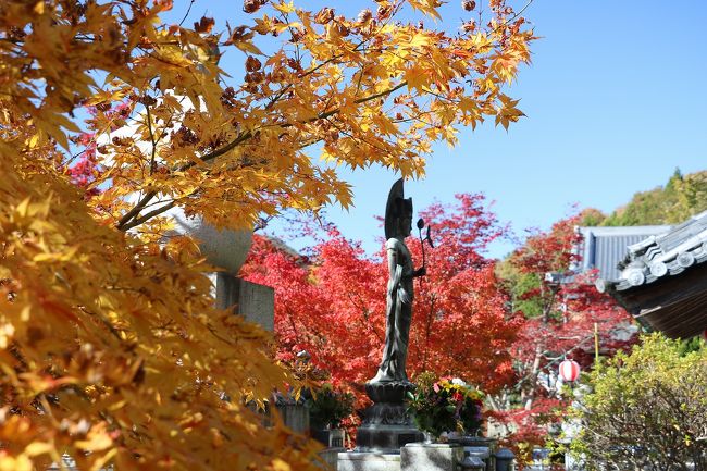 宍粟市の原不動滝と佐用町の清林寺に紅葉を楽しみに出掛けてきました