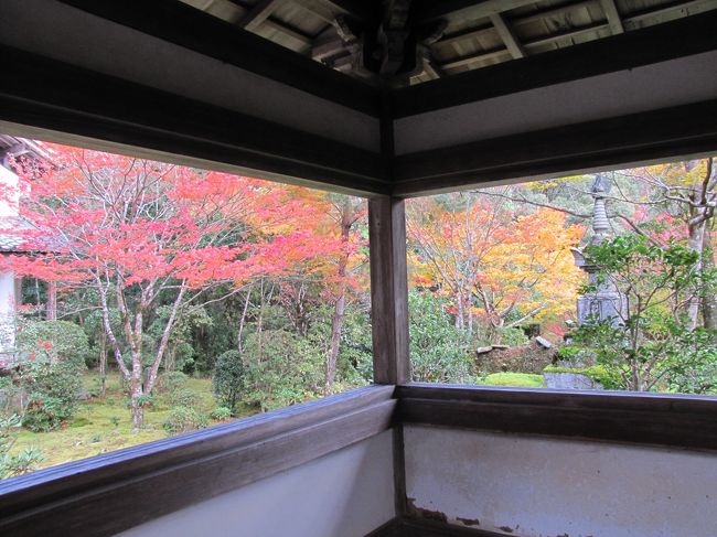 ↑ 京都右京区 西明寺境内 <br />-----------------------------------------------------------------------------<br />本日は京都市右京区の山の中 高雄方面と時間が余ったので明治天皇陵再訪問です。その前に神護寺が9時から開門なので時間調整に学問の神様、北野天満宮に行きました。<br /><br />・北野天満宮 京都市上京区御前通今出川上ル馬喰町 <br />・神護寺 京都市右京区梅ケ畑高雄町5<br /> (後深草天皇皇子 性仁親王墓)<br />・西明寺 京都市右京区梅ケ畑槙尾町1<br />・122代 明治天皇*伏見桃山陵<br />・ 昭憲皇太后・伏見桃山陵<br />・ 50代 桓武天皇陵・柏原陵<br /><br />紅葉は北野天満宮が3分咲き、神護寺と西明寺は見頃と言う事でした。<br /><br /><br />