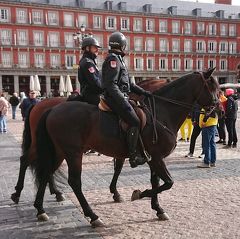 ヨーロッパ7ヵ国周遊!!おっさん１人旅！④スペイン編 マドリード