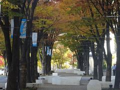 横浜みなとみらい　紅葉が始まった